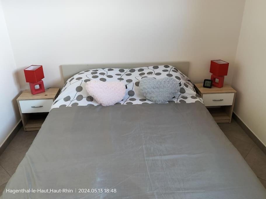 Apartment Einliegerwohnung Hagenthal-le-Haut ภายนอก รูปภาพ